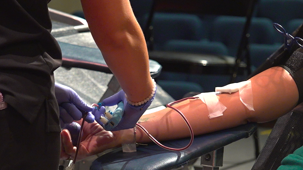 A donor with a needle in her arm as blood is collected