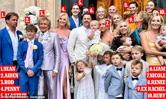 The outing comes just months after Hunter reunited with her ex-husband Rod Stewart at their son Liam's lavish wedding in Croatia (pictured with Rod, his sons Sean, Aiden, his current wife Penny and Alastair, Liam, daughter-in-law Nicole, grandson Louie, daughter Renee, and daughter Ruby)