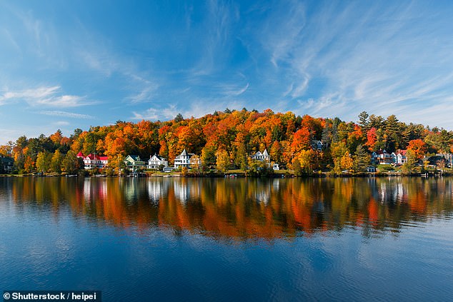 Annabelle takes a stroll along Lake Saranac, which is famous for its art galleries