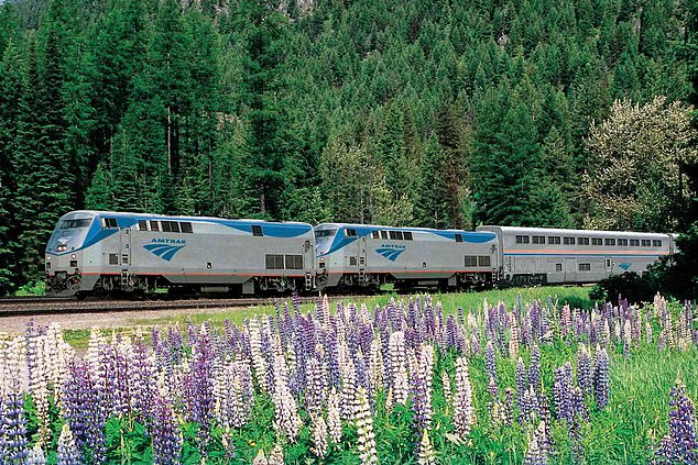 The Amtrak train (pictured) was closed over summer for track renovations but is now back up and running, reveals Annabelle