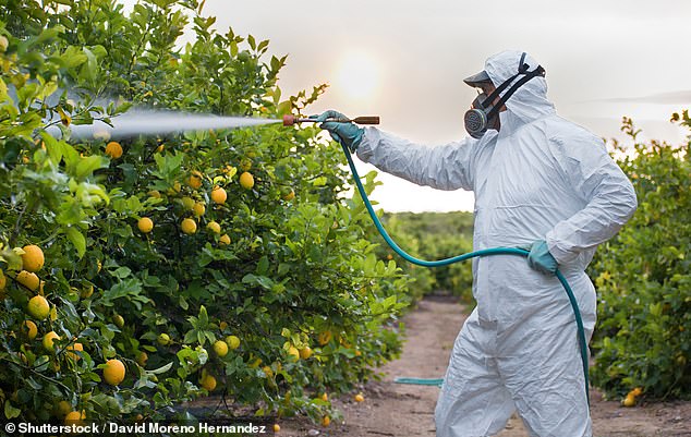 The researchers found that for every one percent increase in pesticide use, there was a 0.25 percent increase in the infant mortality rate