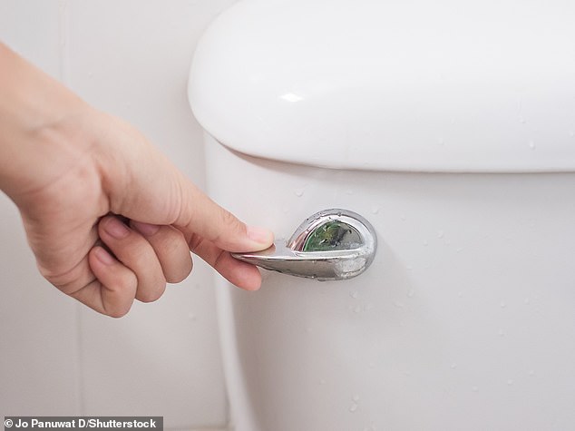 Wet wipes can end up on our beaches and in the environment as they¿re often mistakenly flushed down the toilet, rather than being disposed of in the bin (stock image)