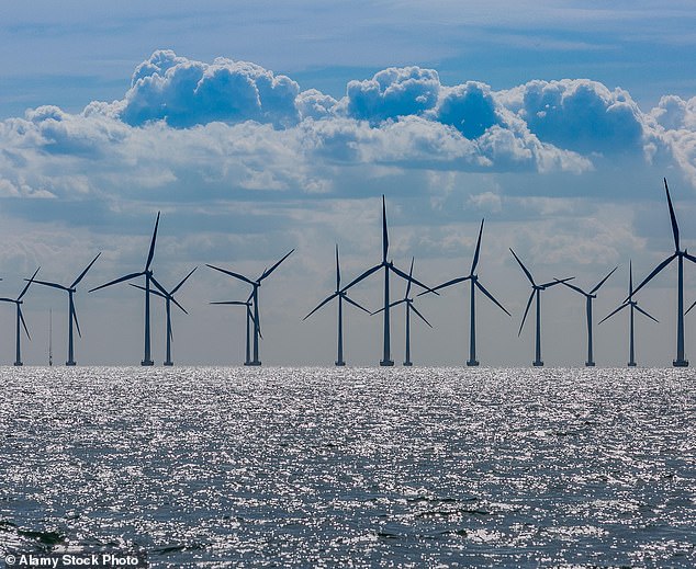 Falling behind: At the latest auction of licences for green energy, including offshore windfarms, established Scandinavian players gobbled up 70 per cent of them