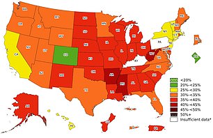 US obesity rate in 2023