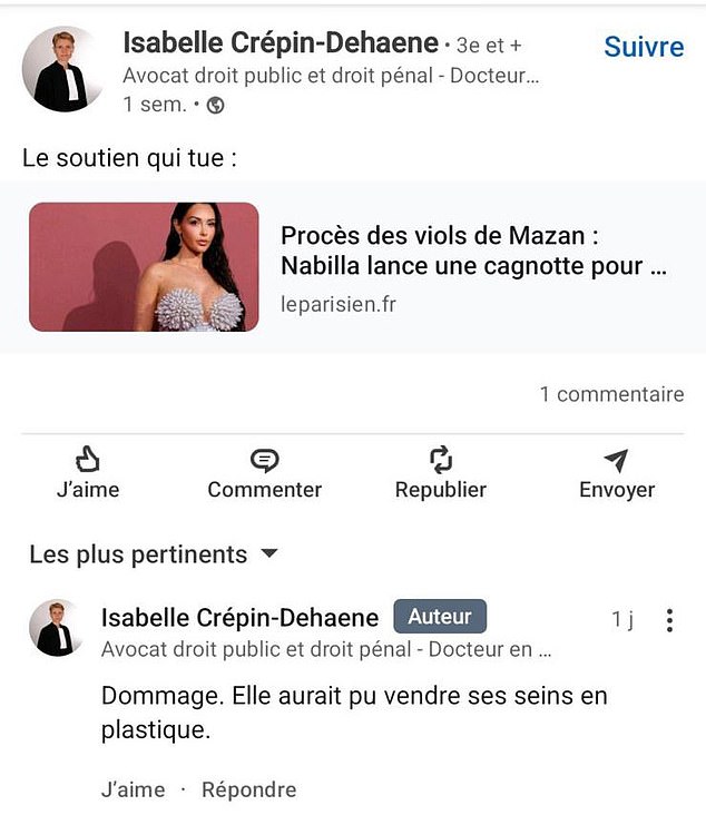 But lawyer Ms Crepin-Dehaene had nothing but scorn for the fundraiser - and scathing remarks for its creator, Ms Benattia. She wrote: 'What a pity, she could have sold her plastic breasts'