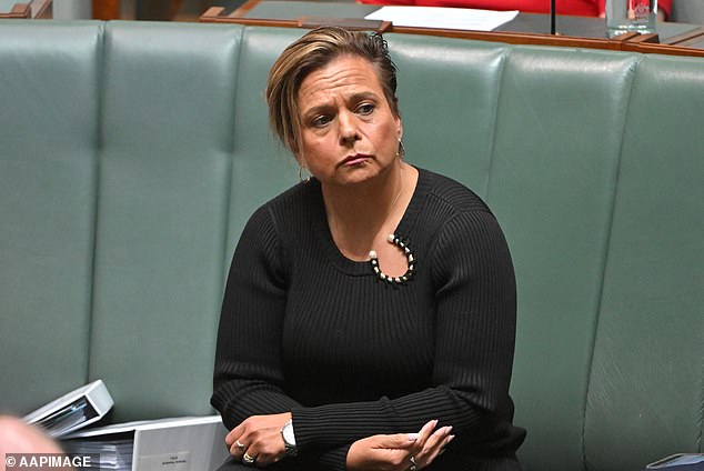 Communications Minister Michelle Rowland insists the new laws will not curb freedom of speech