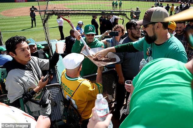 A member of the Oakland Athletics grounds crew gives dirt from the field to fans