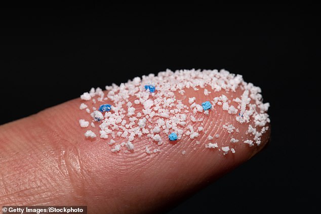 Small plastic pellets on a finger. Levels of microplastics are nearly 60 per cent higher in carpeted homes compared with uncarpeted workplace, the study found (file photo)