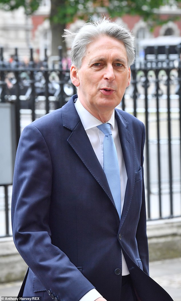 Philip Hammond proposed a partnership where Boris would take the wheel at No10 and he continued to be his economic co-pilot