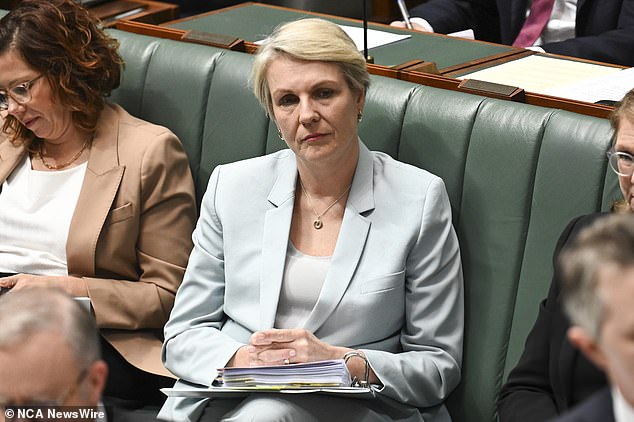 Tanya Plibersek is popular with the lay members and a member of the party's Left