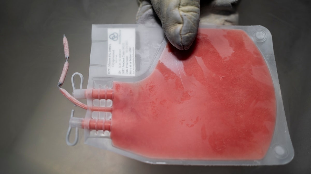 Bone marrow cryopreservation