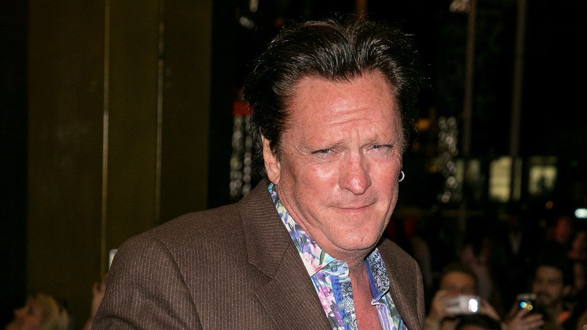 Actor Michael Madsen poses in a brown suit.