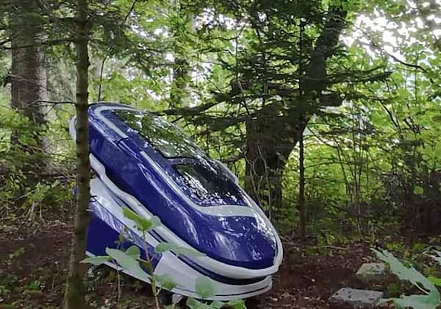 The first use of Sarco capsule took place in the middle of the forest in northern Switzerland