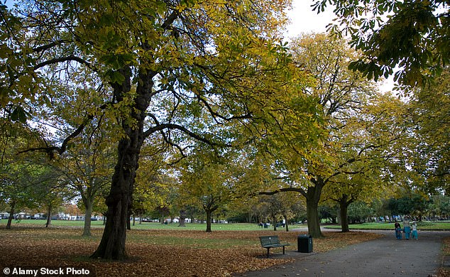 Ms Shotter was found dead on a bench in Southall Park (pictured), west London, in July 2021