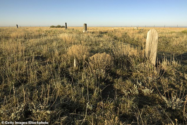 Gravestones sparsely populate the cemetery