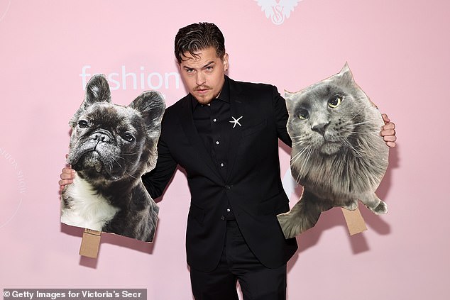 'No, don't care - only interested in seeing my wife, ' Dylan - who also brought cut-outs of Barbara's cat and dog so they were in attendance - told Olivia quickly