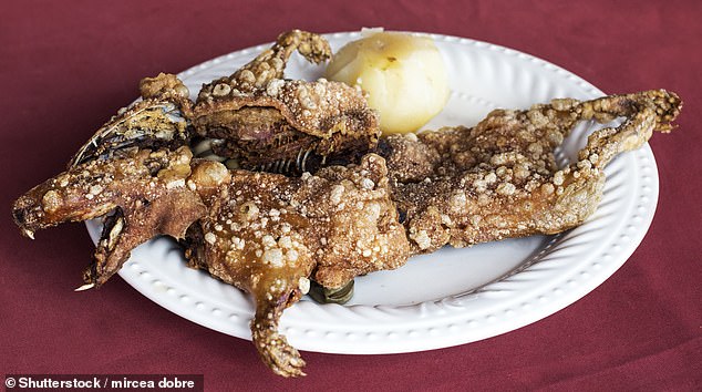 Guinea pig is a major delicacy in Ecuador and Peru, as some intrepid Redditors discovered