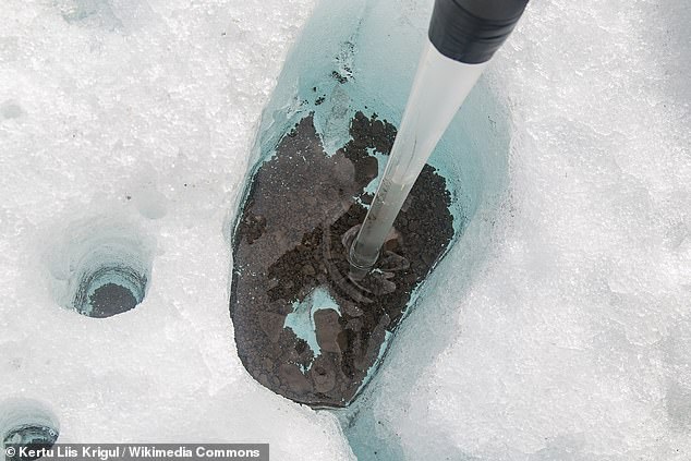 'The microorganisms typically go dormant in the winter when there is not enough sunlight to form liquid water within the dusty ice,' researchers said. Above, More cryoconite sampling performed during that same field work for a 2017 Arctic microbiology course on Svalbard