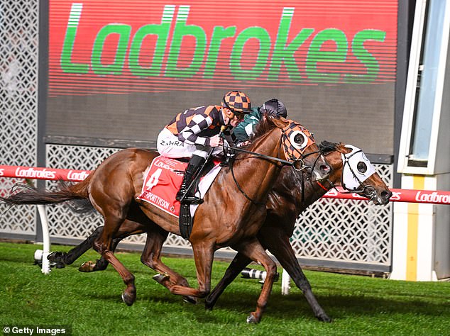 Jobs gamble: Ladbrokes owner Entain has warned a gambling tax raid would cost thousands of jobs amid rumours Rachel Reeves is plotting to hike industry levies