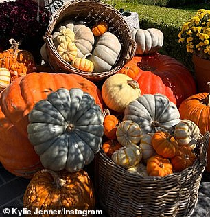 She shared a photo of a luxe silver truck, and a picture of her bountiful pumpkin collection