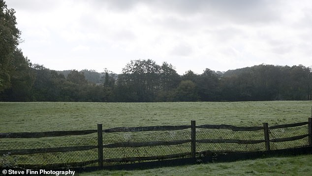 The 200 homes will be built on the nine acres of green space