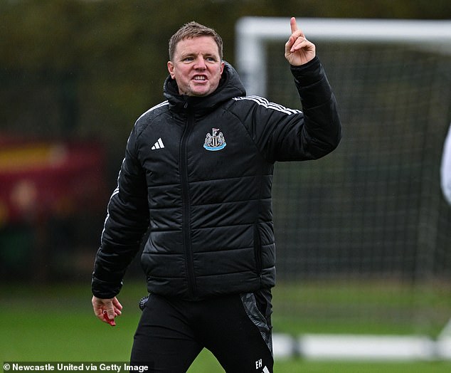 But Newcastle's Eddie Howe was one of seven English coaches not to be interviewed by the FA