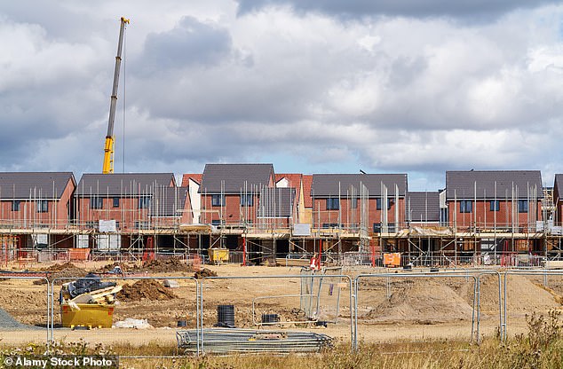 Building back: If you are thinking of investing in housebuilder shares, be ready for a gamble and prepare to be patient