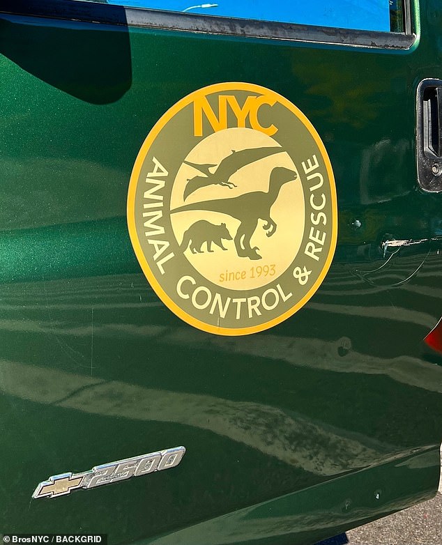 One of the vehicles in the scene had the appropriate Animal Control & Rescue NYC logo that featured the shapes of three different dinosaurs