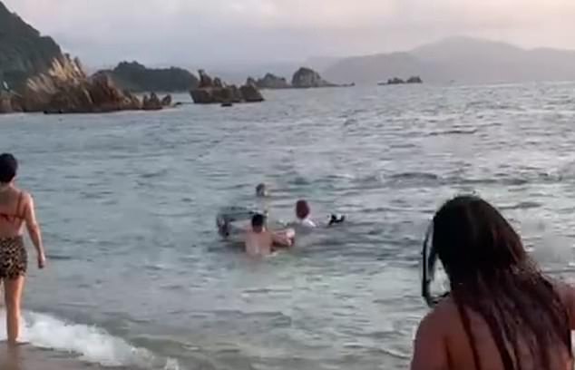 Takuma Goto was rescued by nearby surfers after he encountered the lone dolphin while swimming of the coast of central Japan