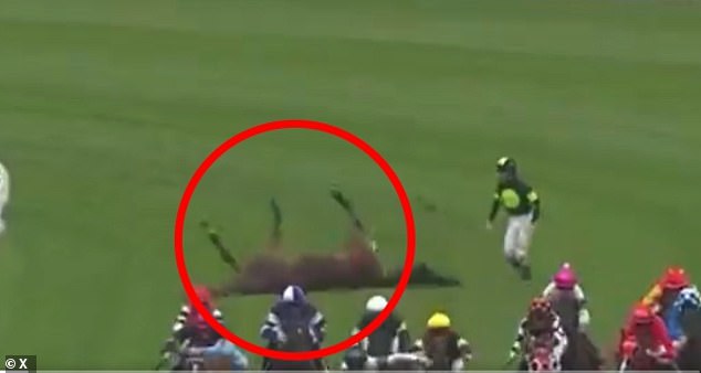 Collett was thrown from his horse Think About It mid-race but courageously ran back to care for the stricken animal