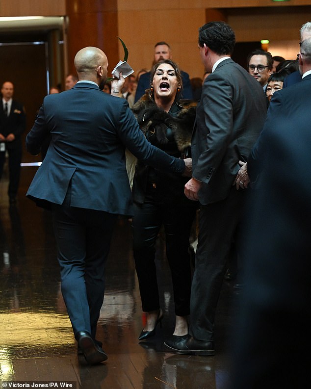 Senator Thorpe was quickly led away by security at Parliament House