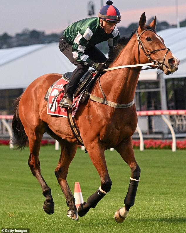 Superstar jockey James McDonald was left with a 'little bit of a sore shoulder' following the incident (pictured, before the fall) - he still hopes to ride the mare in the Cox Plate