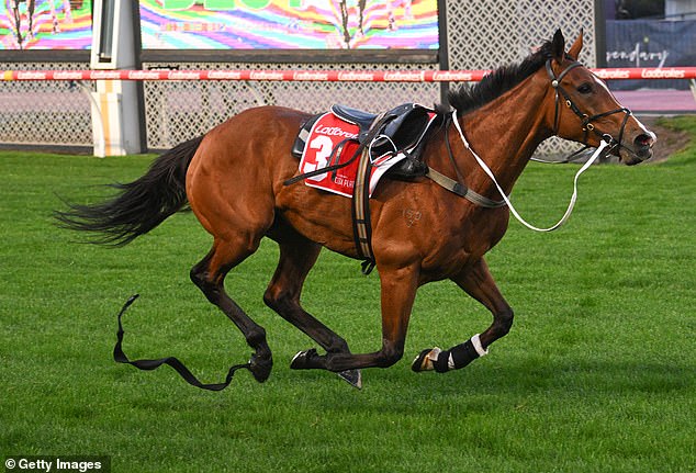 The dramatic incident unfolded just after 6.30am, with both the horse and hoop remarkably uninjured (pictured, a riderless Via Sistina)