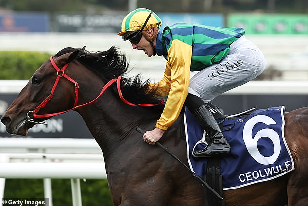 Ceolwulf (pictured) was the second of Pride's horses that won during the weekend, with Lekvarte winning the Group Three James Squire Angst Stakes