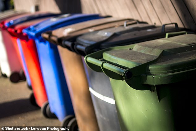 Trash clash: A council is ordering a reader to pay for a new recycling bin - despite the fact it was their workers who broke the old one