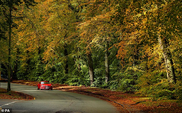 Last month the AA found that almost three quarters of drivers said the worst thing about driving in autumn was being dazzled by the sun