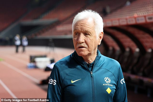 Interim coach Tom Sermanni has a lot of work to do to turn around the Matildas lean run of form that has extended back to before the Paris Olympics