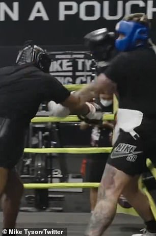 Tyson in sparring