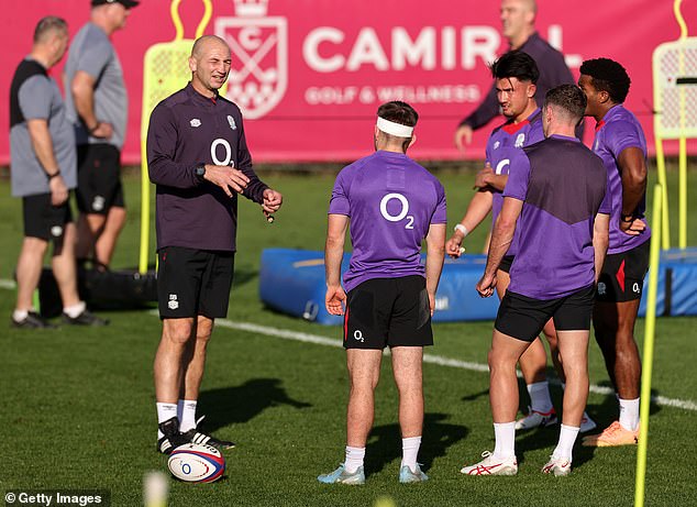 The rebuild will give England coach Steve Borthwick hope ahead of their clash at Twickenham