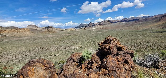 Environmentalists are concerned that the mine will cause a critically endangered wildflower to go extinct