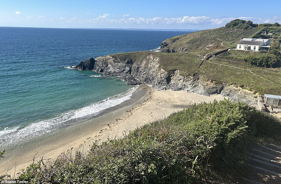 'The entire Polurrian hotel and beach are extremely dog friendly, so pets abound throughout our stay,' says Sophie. Above - the view from the hotel's beach path