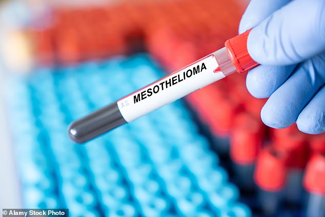 Mesothelioma is notoriously difficult to treat because it is usually diagnosed at a late stage