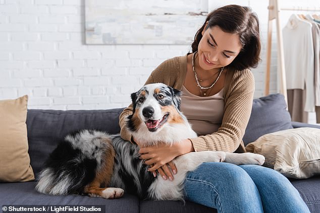 A study of dog owners in the UK and US has found that the parenting styles individuals experienced in childhood are linked to how they treat their pooches as adults