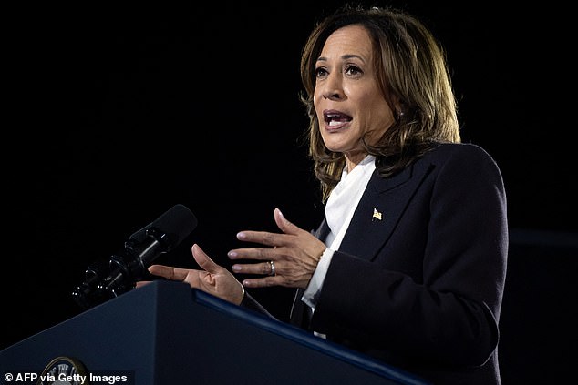 US Vice President and Democratic presidential candidate Kamala Harris speaks on The Ellipse just south of the White House in Washington, DC, on October 29, 2024