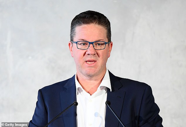 AFL Players' Association boss Paul Marsh (pictured) revealed the development as he blasted the league for its murky stance on penalties for shocking off-field behaviour