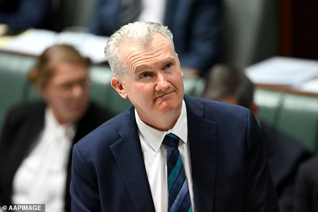 In his decision to reject her visa, Immigration Minister Tony Burke (pictured) cited Owens' 'capacity to incite discord in almost every direction'.