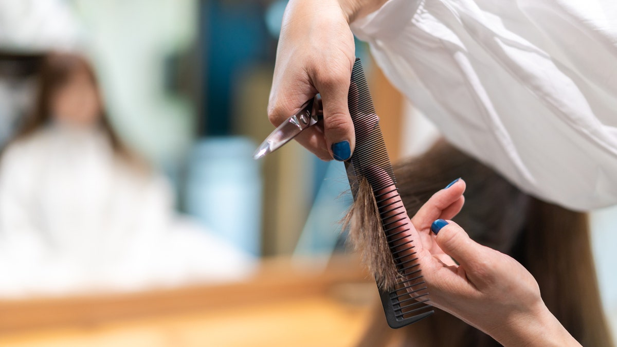 Woman haircut