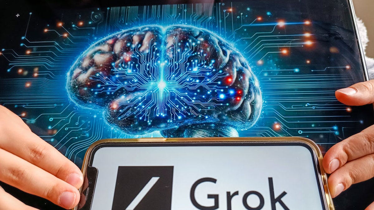 Grok brain scan