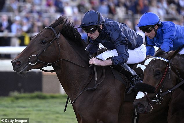 Matisse has made O'Brien the joint winning-most trainer in Breeders Cup history