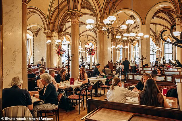 The team at Vienna Business Agency say 'you can start your day working in one of the city’s iconic coffeehouses (pictured above is Cafe Central), run to your start-up job, then bike or take a U-bahn to the Danube in 20 minutes for an after-work swim'